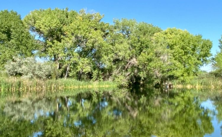 Santa Fe Botanical Garden